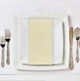 Solid Cloth Napkins — Ivory