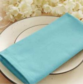Solid Cloth Napkins — Aqua Blue