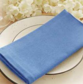 Solid Cloth Napkins — Light Blue