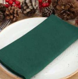 Solid Cloth Napkins — Forest Green