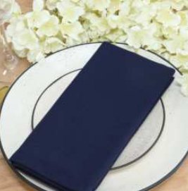 Solid Cloth Napkins — Navy Blue