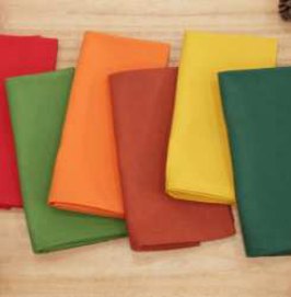 Solid Cloth Napkins — Multicolor