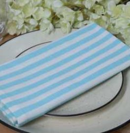 Striped Cloth Napkins — Aqua Blue/White
