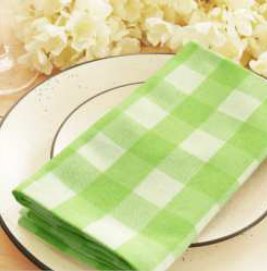 Gingham Check Napkins — Apple Green/White
