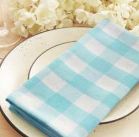 Gingham Check Napkins — Aqva Blue/White