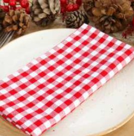 Mini Gingham Check Napkins — Red / White