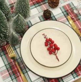 Placemat · Homestead Stripe — Red And White